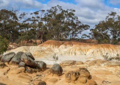 winery tours - pink cliffs heathcote