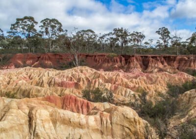 Heathcote Pink Cliffs - winery tours